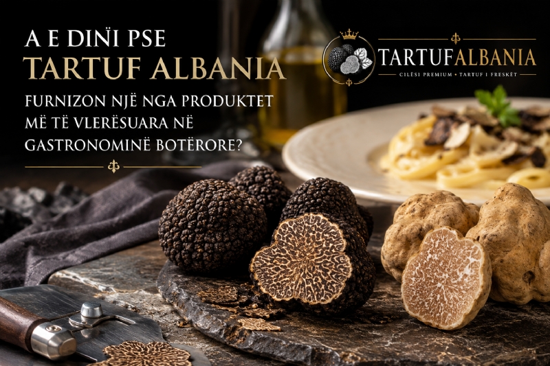 A E Dini Pse Tartuf Albania Furnizon Një nga Produktet Më të Vlerësuara në Gastronominë Botërore?