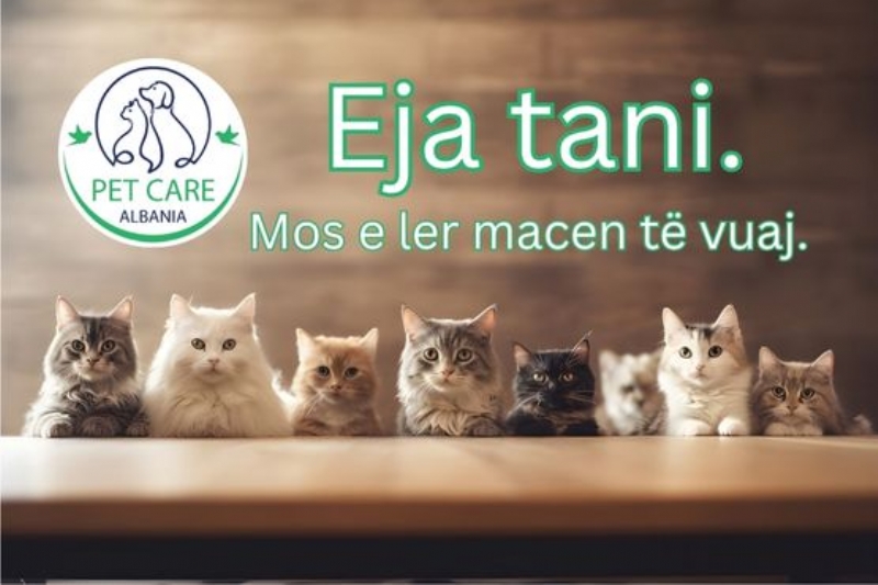 Trajtim per probleme me aparatin urinar per macet, Trajtim per probleme me aparatin urinar infeksjone per macet, Trajtim per probleme me aparatin urinar gure ne veshka per macet, Trajtim per semundje gastrointestinale te macet