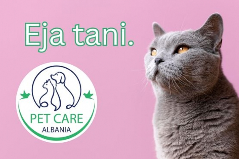 Prerje thonjsh per mace, Pastrim i vesheve dhe syve per mace, Larje profesionale per mace, Larje profesionale per macet me qime te gjata, Kujdes per lekuren dhe qimet e maceve, Kujdes per lekuren dhe qimet me shampoo medicinale