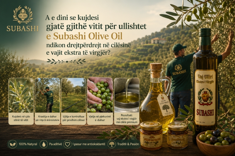 Pse gjithnjë e më shumë vizitorë dhe profesionistë zgjedhin të njohin nga afër ullishtet e Subashi Olive Oil dhe historinë e kultivimit të ullirit?