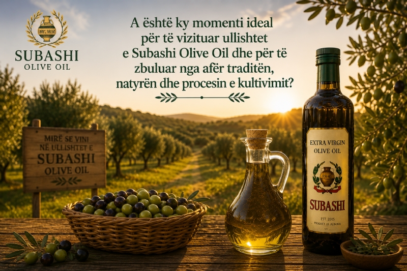 A është ky momenti ideal për të vizituar ullishtet e Subashi Olive Oil dhe për të zbuluar nga afër traditën, natyrën dhe procesin e kultivimit?